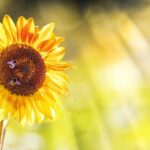 AUGUST 2025 NEWSLETTER