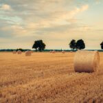 AUGUST 2025 NEWSLETTER