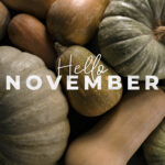 NOVEMBER 2025 NEWSLETTER